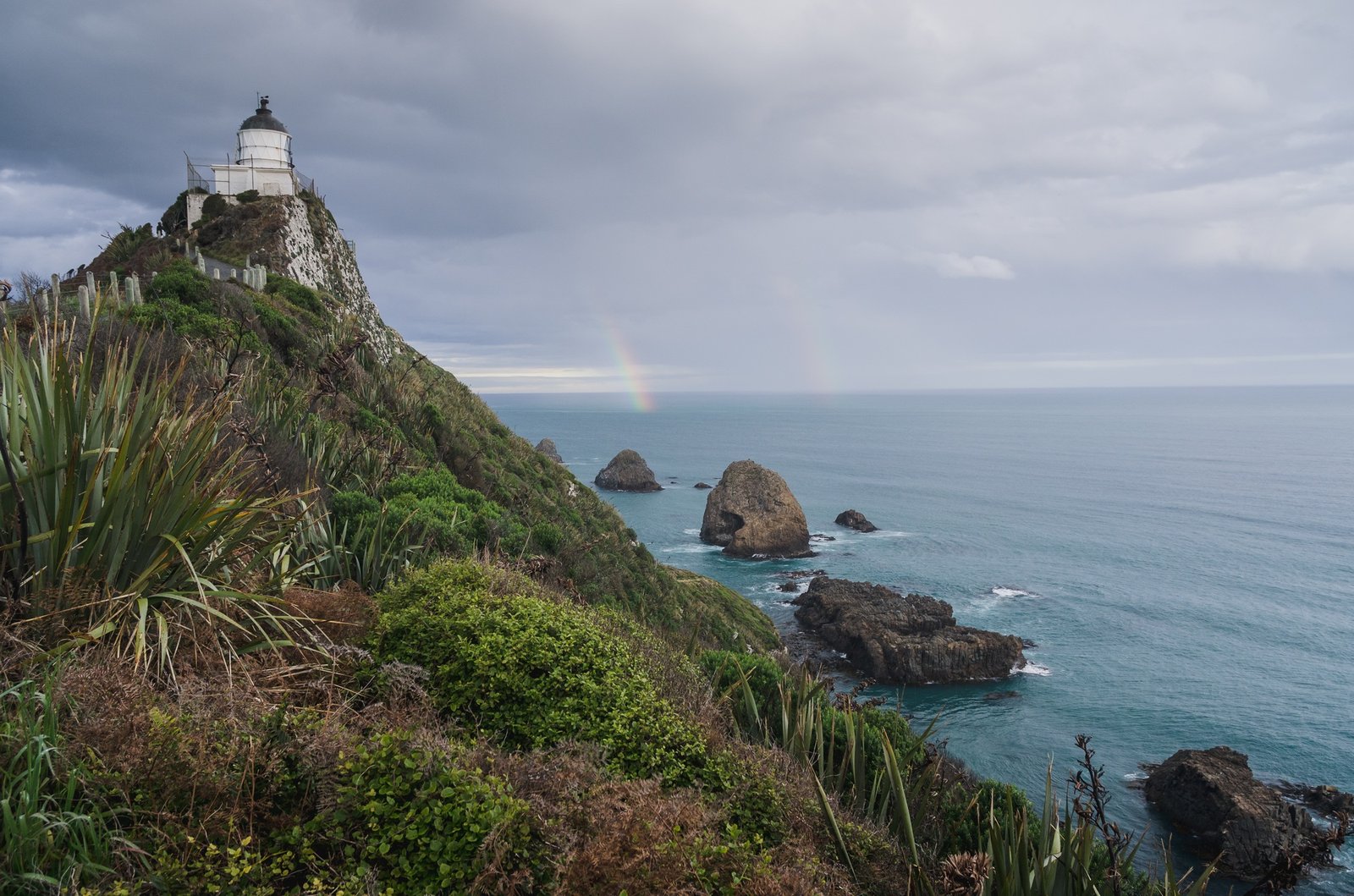 Nugget point, new zealand